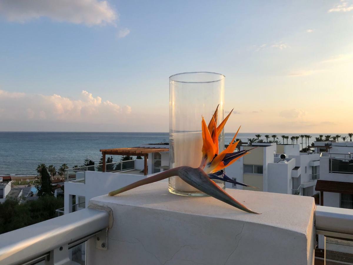 Marina View Villa 11 بييا المظهر الخارجي الصورة